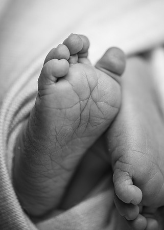 ZII_9343