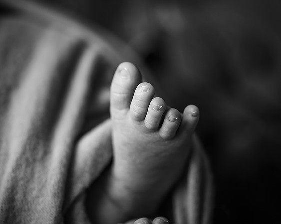 ZII_3523