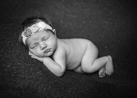 Z62_9695-Edit