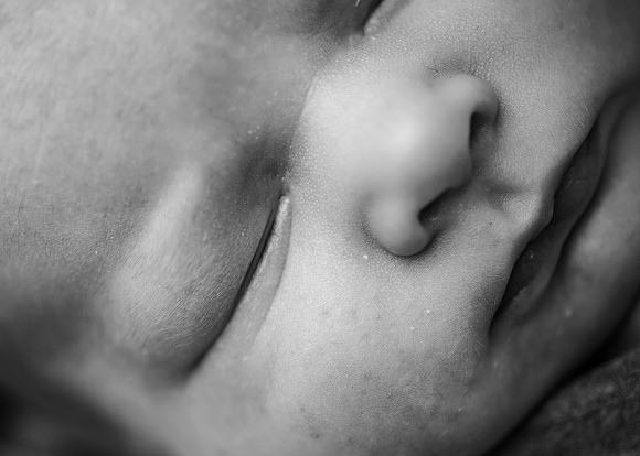 ZII_3204
