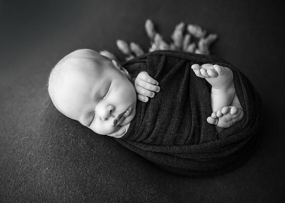 ZII_3276-Edit