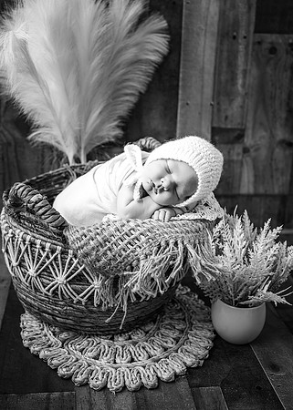 ZII_3288-Edit