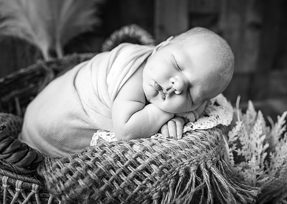 ZII_3295-Edit