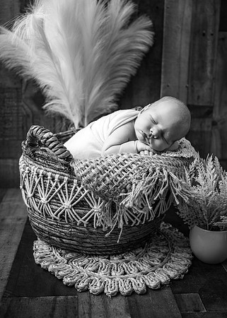 ZII_3301-Edit