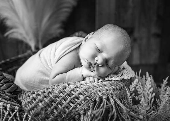 ZII_3307-Edit