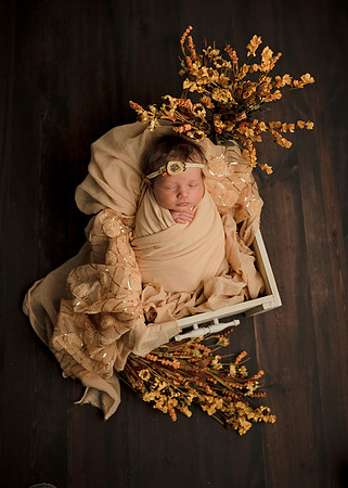 Z62_9680-Edit