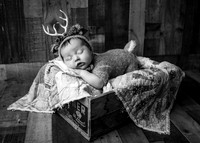 ZII_3490-Edit