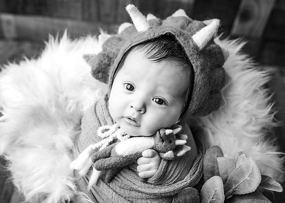 ZII_3611-Edit