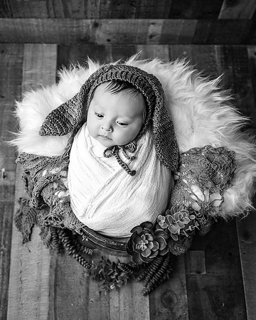ZII_3629-Edit