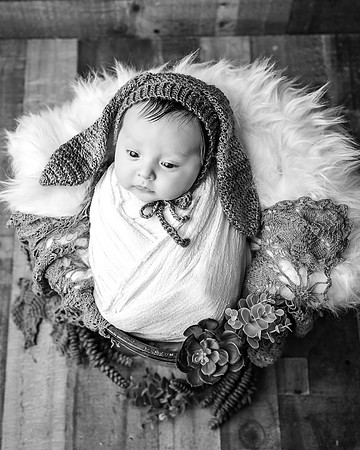 ZII_3634-Edit