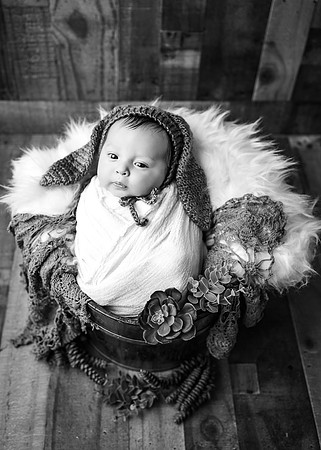 ZII_3637-Edit