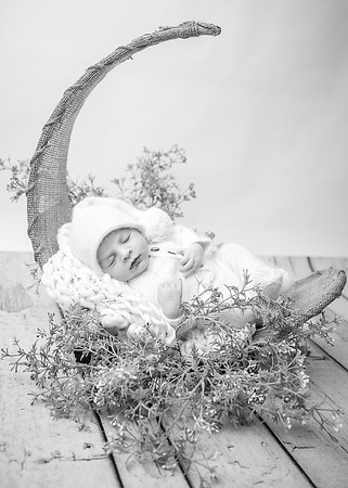 ZII_0734