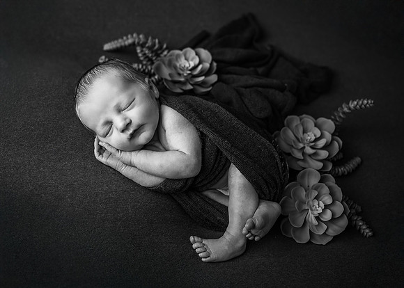 Z72_4846-Edit