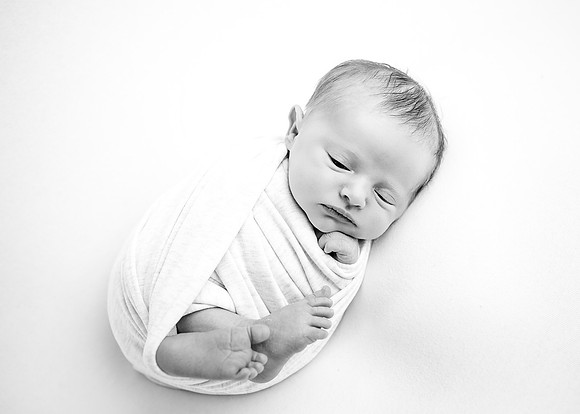 ZII_8184-Edit