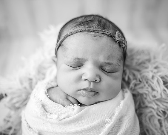 ZII_5281-Edit
