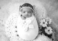 ZII_5287-Edit