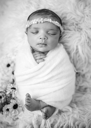 ZII_5303-Edit