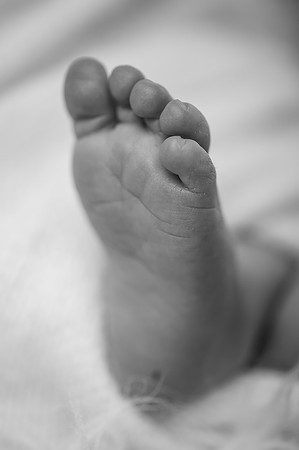 ZII_5315