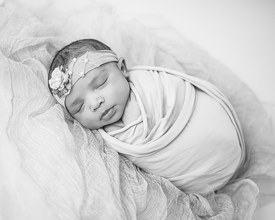 ZII_5427-Edit