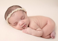 ZII_5371-Edit