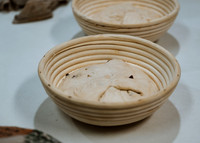ZII_5562