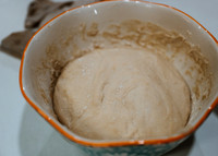 ZII_5574