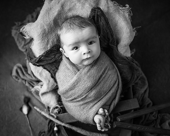 ZII_6731-Edit