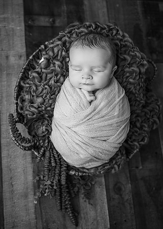 ZII_6769-Edit