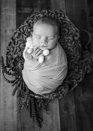 ZII_6771-Edit