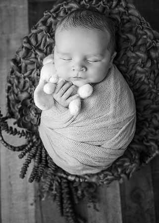 ZII_6776-Edit