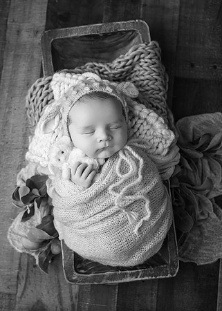ZII_6797-Edit