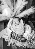 ZII_8850-Edit