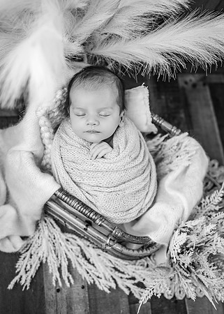ZII_8855-Edit
