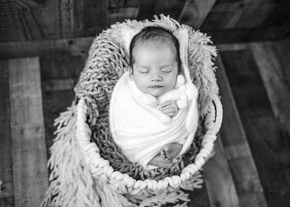 ZII_8865-Edit