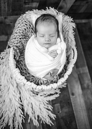 ZII_8872-Edit