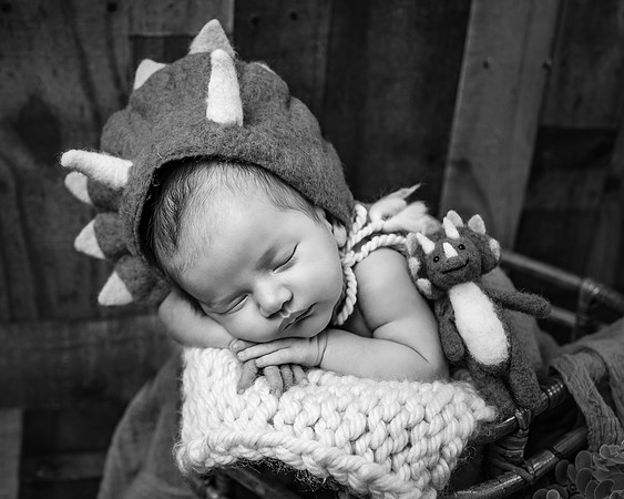 ZII_8921-Edit-Edit