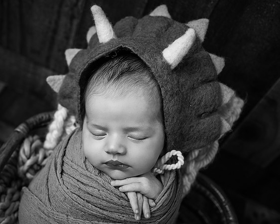 ZII_8936-Edit