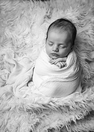 ZII_9033-Edit