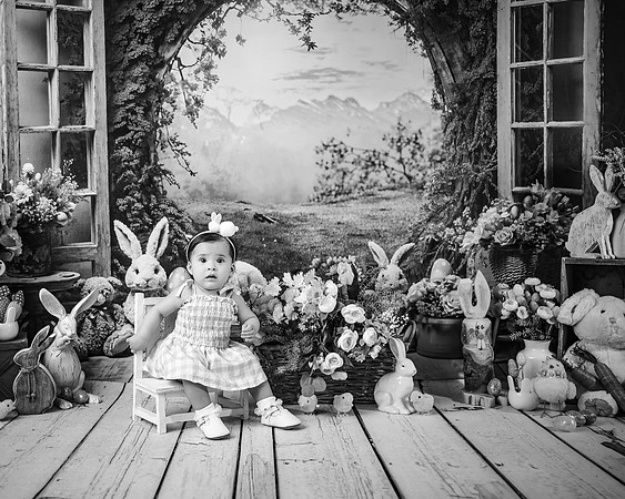 ZII_9371