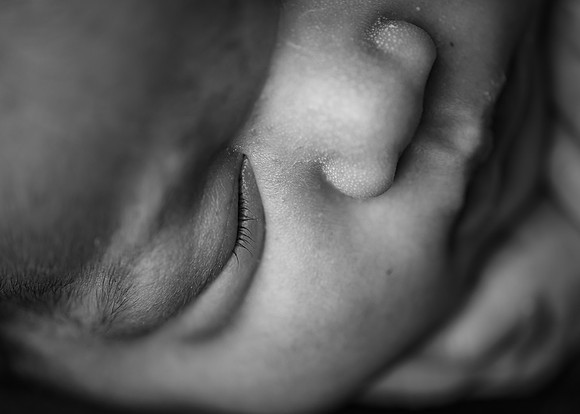 ZII_6587