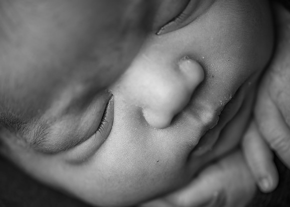 ZII_6588
