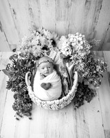ZII_2874-Edit
