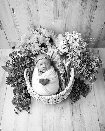 ZII_2874-Edit