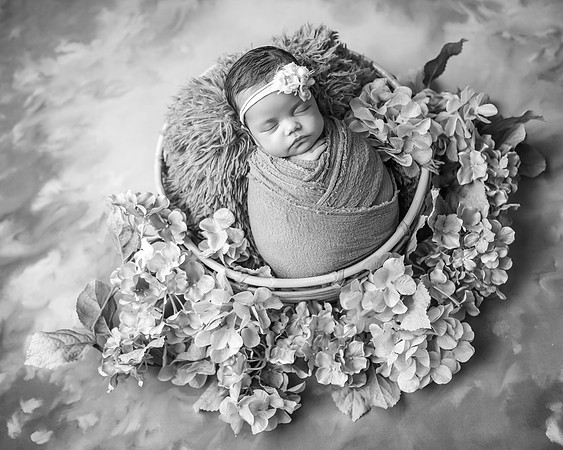 Z72_5379-Edit