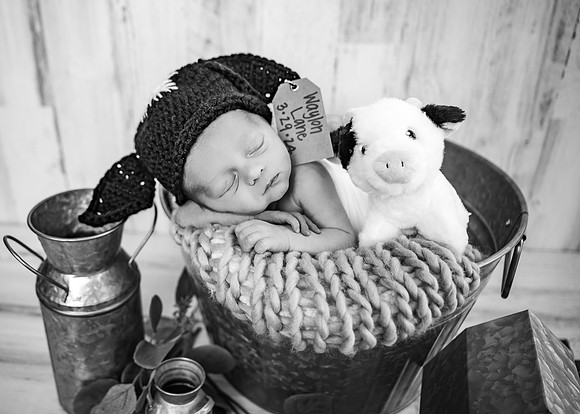 ZII_3662-Edit