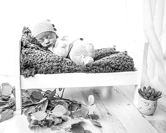 ZII_3754-Edit