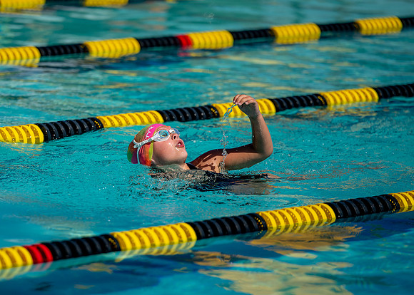 ZII_5916