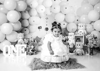 ZII_8720