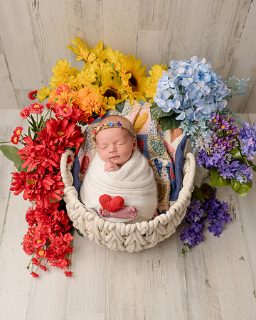 ZII_2912-Edit