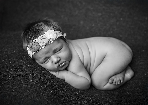 Z62_9684-Edit